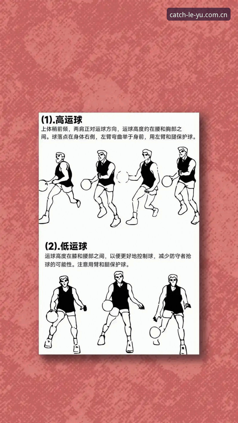 乐鱼体育篮球直播使用指南：从入门到精通的全流程解析